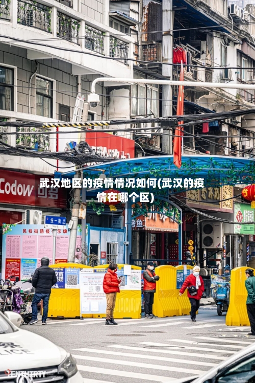武汉地区的疫情情况如何(武汉的疫情在哪个区)