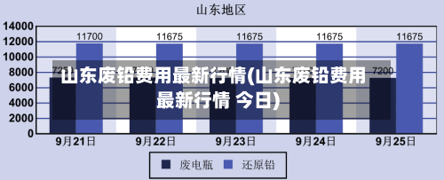 山东废铅费用最新行情(山东废铅费用最新行情 今日)