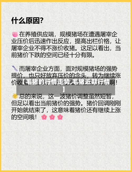 【毛猪的行情走势,毛猪近期行情】-第2张图片