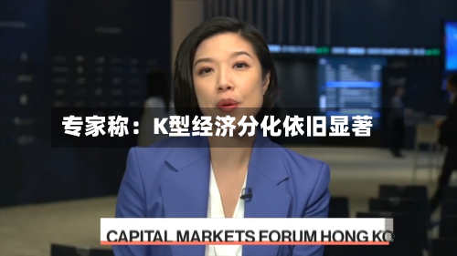 专家称：K型经济分化依旧显著