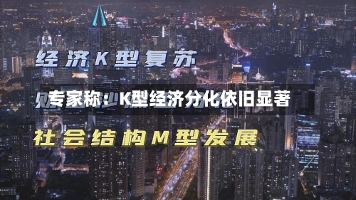 专家称:K型经济分化依旧显著-第2张图片
