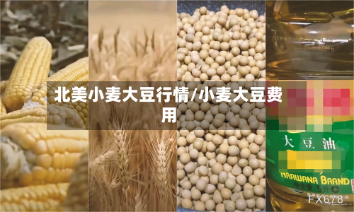 北美小麦大豆行情/小麦大豆费用