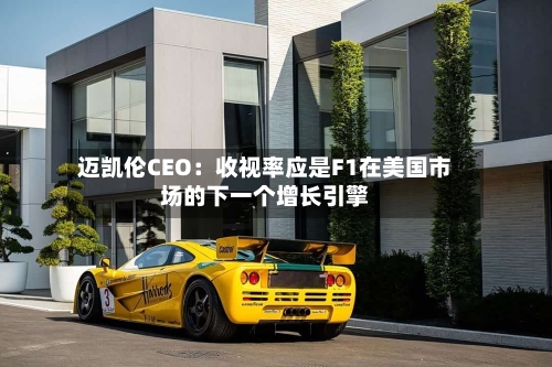 迈凯伦CEO:收视率应是F1在美国市场的下一个增长引擎-第3张图片