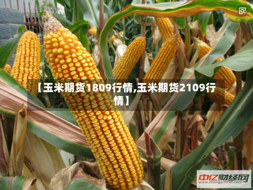 【玉米期货1809行情,玉米期货2109行情】