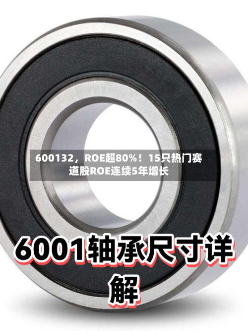 600132，ROE超80%！15只热门赛道股ROE连续5年增长-第2张图片
