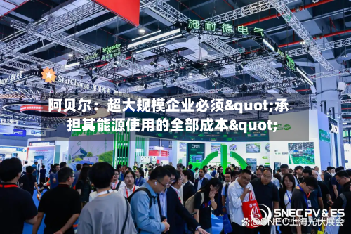阿贝尔：超大规模企业必须"承担其能源使用的全部成本"