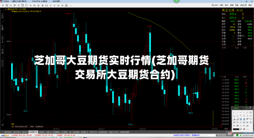 芝加哥大豆期货实时行情(芝加哥期货交易所大豆期货合约)
