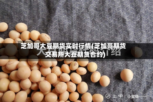 芝加哥大豆期货实时行情(芝加哥期货交易所大豆期货合约)-第2张图片