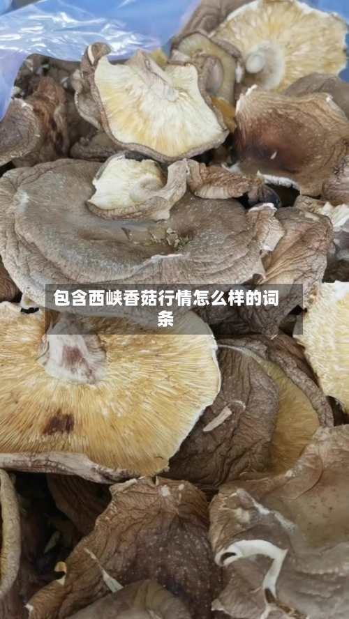 包含西峡香菇行情怎么样的词条