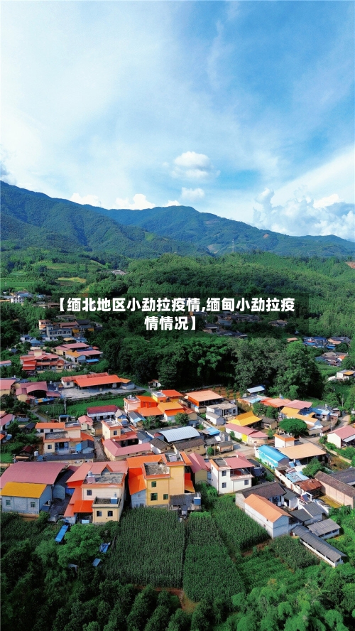 【缅北地区小勐拉疫情,缅甸小勐拉疫情情况】