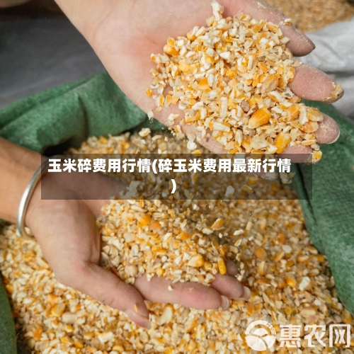 玉米碎费用行情(碎玉米费用最新行情)
