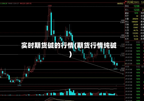 实时期货碱的行情(期货行情纯碱)-第2张图片