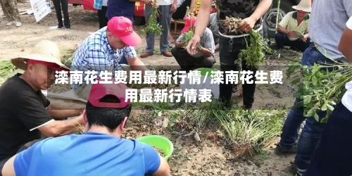 滦南花生费用最新行情/滦南花生费用最新行情表-第2张图片