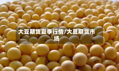 大豆期货夏季行情/大豆期货市场