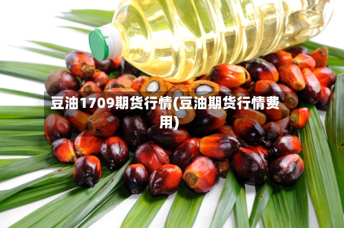 豆油1709期货行情(豆油期货行情费用)