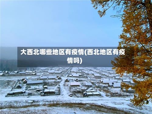 大西北哪些地区有疫情(西北地区有疫情吗)