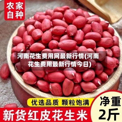 河南花生费用网最新行情(河南花生费用最新行情今日)