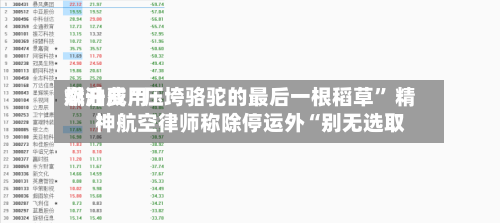 燃油费用飙升成“压垮骆驼的最后一根稻草” 精神航空律师称除停运外“别无选取	”-第3张图片
