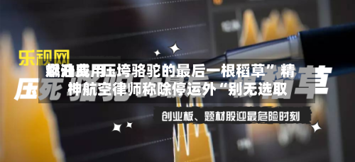 燃油费用飙升成“压垮骆驼的最后一根稻草	” 精神航空律师称除停运外“别无选取”-第2张图片