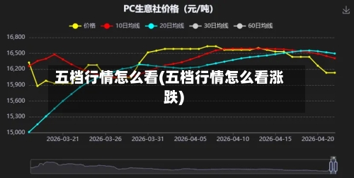 五档行情怎么看(五档行情怎么看涨跌)