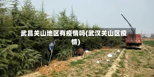 武昌关山地区有疫情吗(武汉关山区疫情)-第2张图片