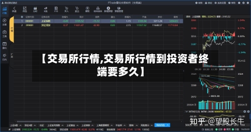 【交易所行情,交易所行情到投资者终端要多久】