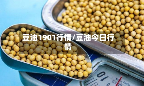 豆油1901行情/豆油今日行情