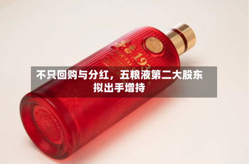不只回购与分红	，五粮液第二大股东拟出手增持-第2张图片
