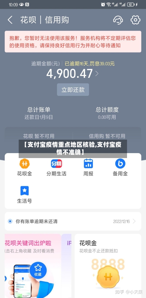 【支付宝疫情重点地区核验,支付宝疫情不准确】