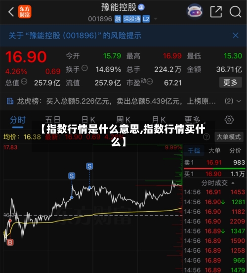 【指数行情是什么意思,指数行情买什么】