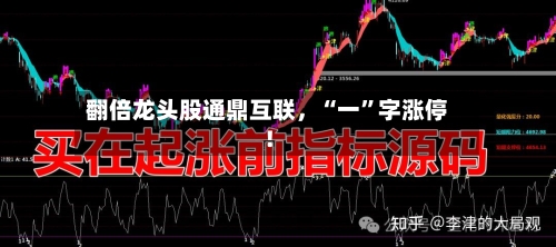翻倍龙头股通鼎互联，“一”字涨停！-第2张图片