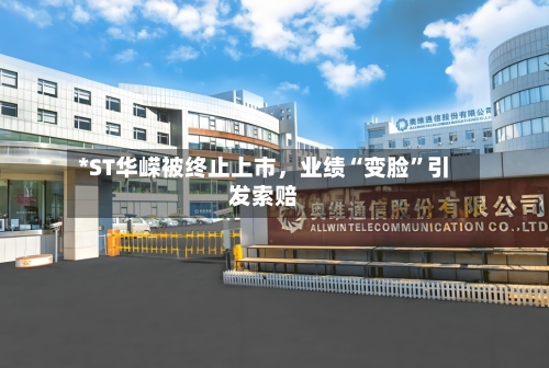 *ST华嵘被终止上市	，业绩“变脸”引发索赔-第2张图片
