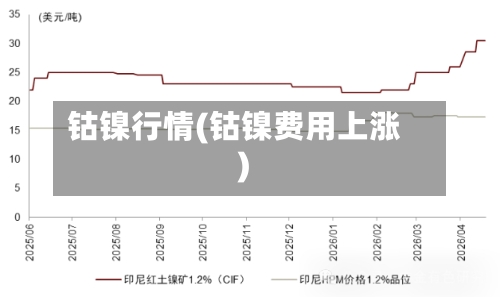 钴镍行情(钴镍费用上涨)-第3张图片
