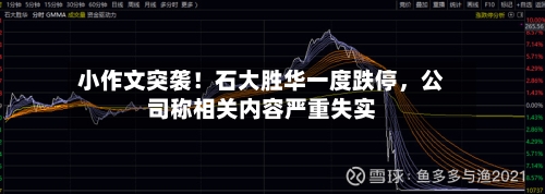 小作文突袭！石大胜华一度跌停，公司称相关内容严重失实-第3张图片