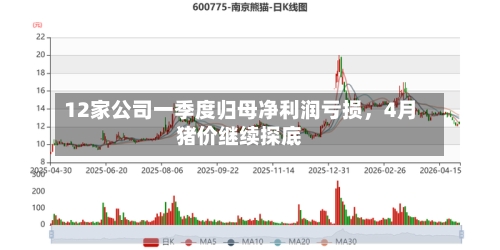 12家公司一季度归母净利润亏损，4月猪价继续探底