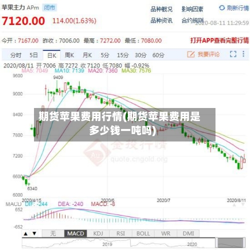 期货苹果费用行情(期货苹果费用是多少钱一吨吗)