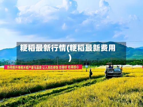 粳稻最新行情(粳稻最新费用)