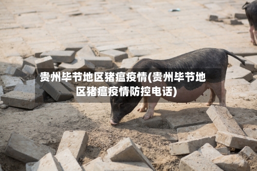 贵州毕节地区猪瘟疫情(贵州毕节地区猪瘟疫情防控电话)-第3张图片