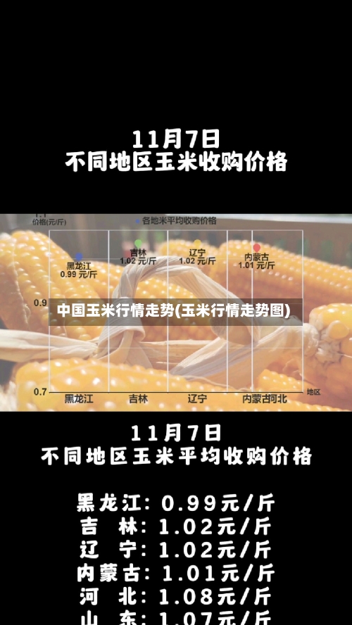 中国玉米行情走势(玉米行情走势图)-第2张图片