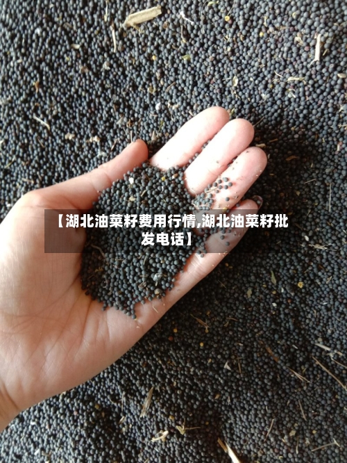 【湖北油菜籽费用行情,湖北油菜籽批发电话】