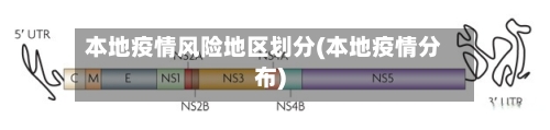 本地疫情风险地区划分(本地疫情分布)