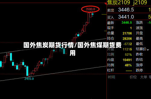 国外焦炭期货行情/国外焦煤期货费用-第2张图片
