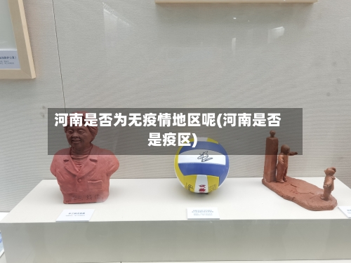河南是否为无疫情地区呢(河南是否是疫区)
