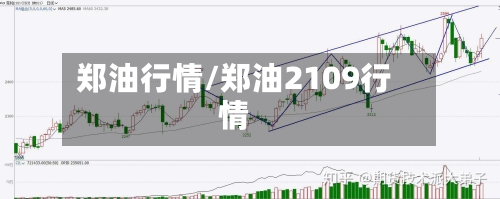 郑油行情/郑油2109行情