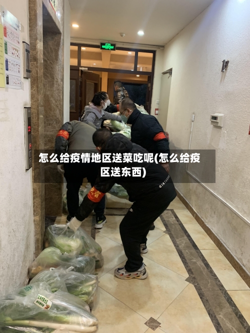 怎么给疫情地区送菜吃呢(怎么给疫区送东西)