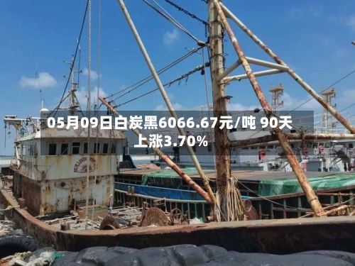 05月09日白炭黑6066.67元/吨 90天上涨3.70%