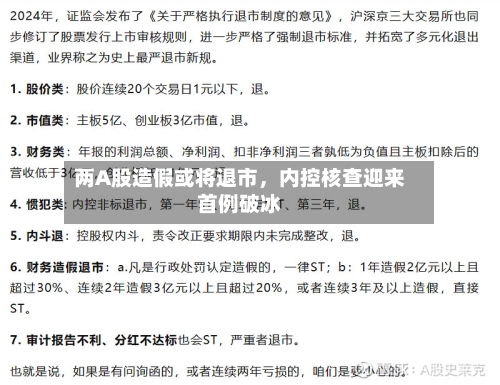 两A股造假或将退市，内控核查迎来首例破冰-第2张图片