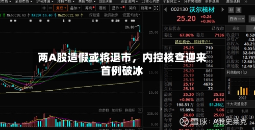 两A股造假或将退市，内控核查迎来首例破冰-第3张图片