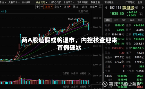 两A股造假或将退市，内控核查迎来首例破冰