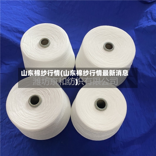 山东棉纱行情(山东棉纱行情最新消息)